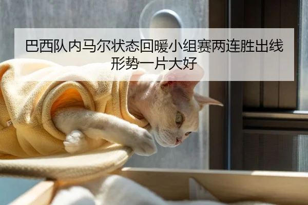 巴西队内马尔状态回暖小组赛两连胜出线形势一片大好