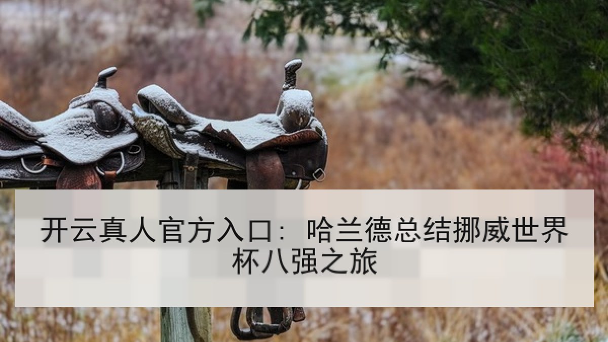 开云真人官方入口: 哈兰德总结挪威世界杯八强之旅