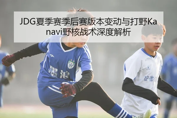 JDG夏季赛季后赛版本变动与打野Kanavi野核战术深度解析
