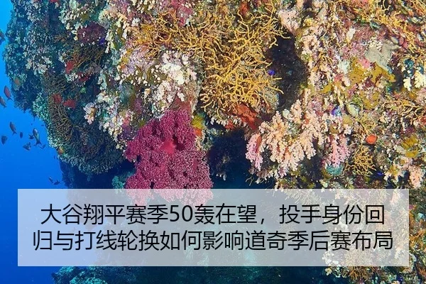 da-gu-xiang-ping-sai-ji-hong-zai-wang-tou-shou-shen-fen-hui-gui-yu-da-xian-lun-huan-ru-he-ying-xiang-dao-qi-ji-hou-sai-3-778.jpg