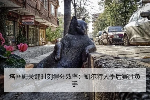 ta-tu-mu-guan-jian-shi-ke-de-fen-xiao-lv-kai-er-te-ren-ji-hou-sai-sheng-fu-shou-2-991.jpg