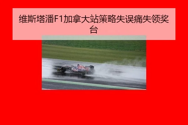 wei-si-ta-pan-jia-na-da-zhan-ce-lve-shi-wu-tong-shi-ling-jiang-tai-3-634.jpg