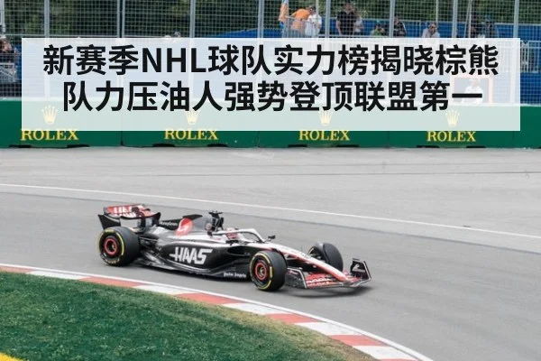 新赛季NHL球队实力榜揭晓棕熊队力压油人强势登顶联盟第一
